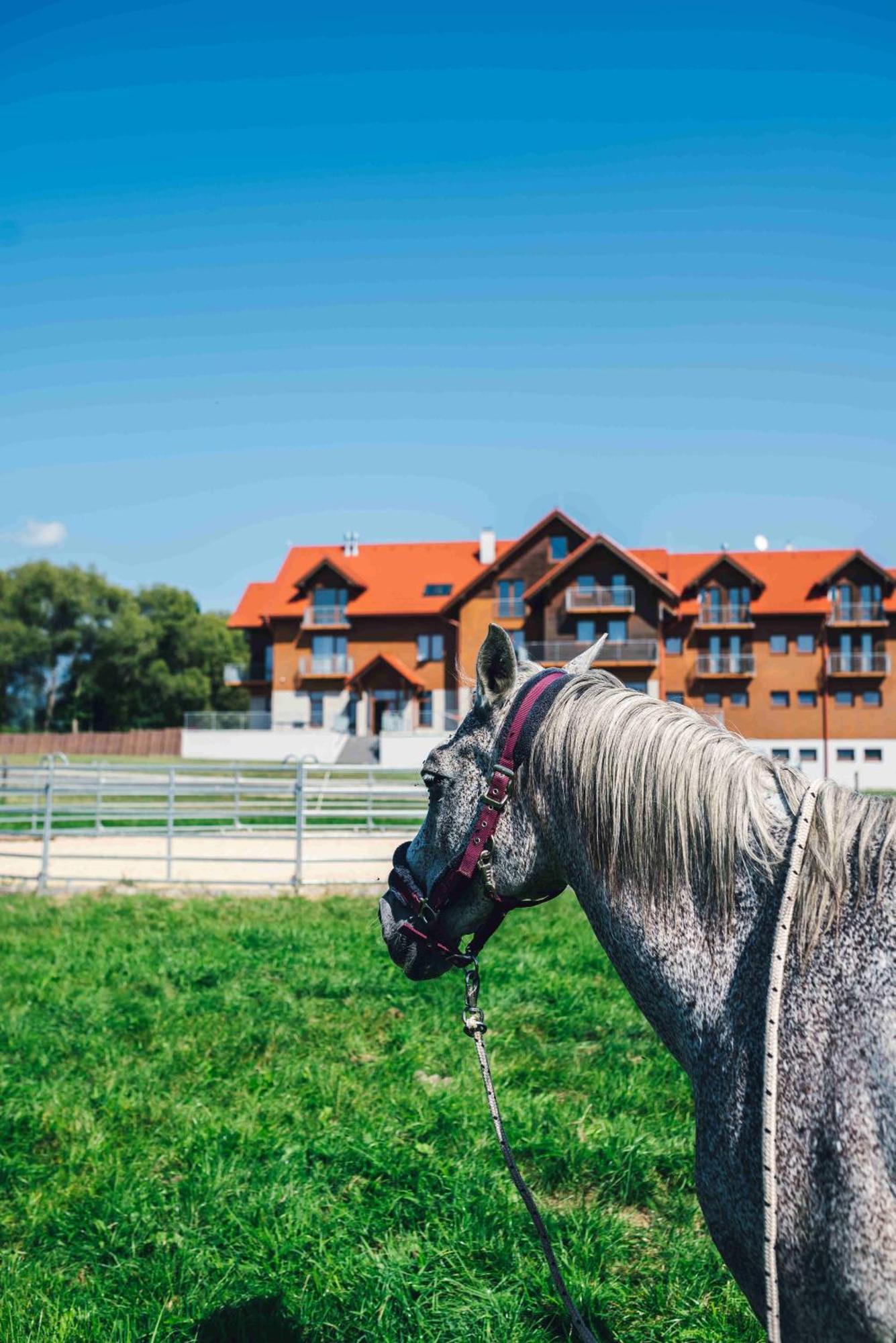 Penzion Kamence Liptovský Mikuláš Exteriér fotografie