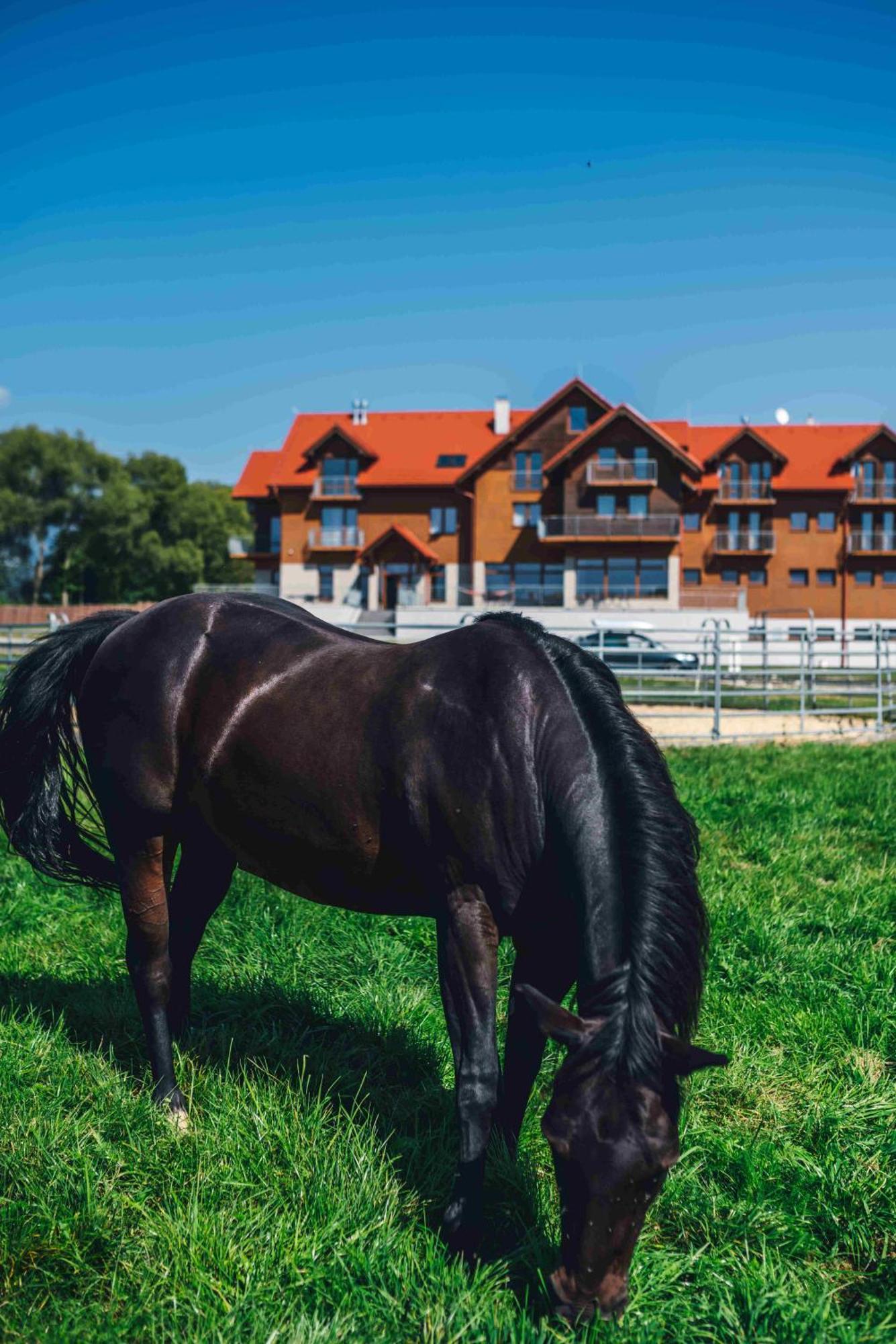Penzion Kamence Liptovský Mikuláš Exteriér fotografie