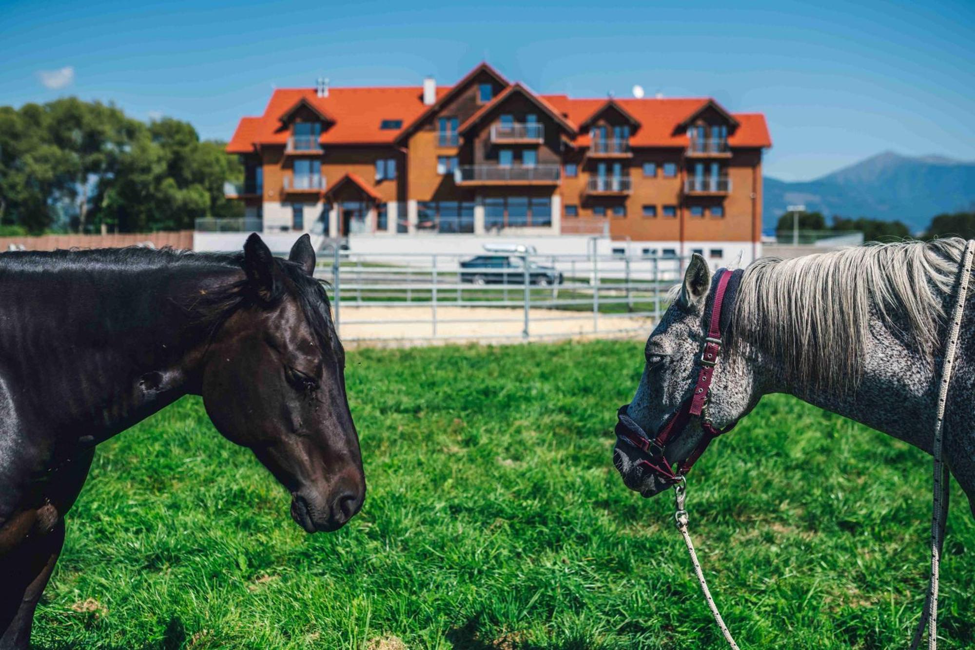 Penzion Kamence Liptovský Mikuláš Exteriér fotografie